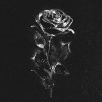 Maryana Ro - Чёрные розы Maryana Ro - Чёрные розы