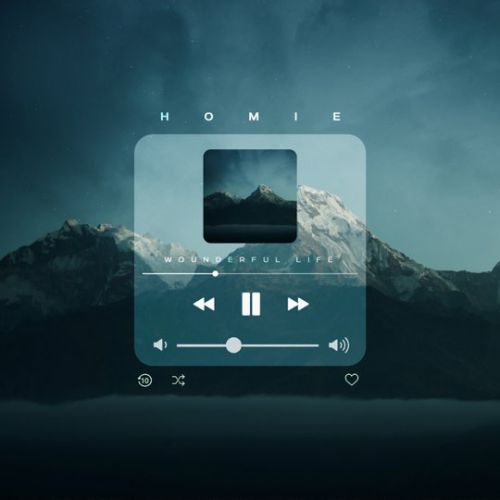 Homie - Wonderful Life Homie - Wonderful Life