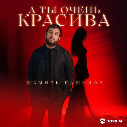 Шамиль Кашешов - А ты очень красива Шамиль Кашешов - А ты очень красива